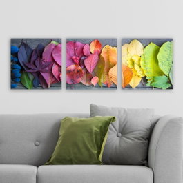 Wallity Conjunto de 3 Pinturas Decorativas en Lienzo Multicolor